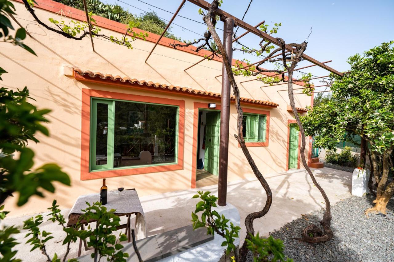 Casa Rural Bejeque Teror Εξωτερικό φωτογραφία