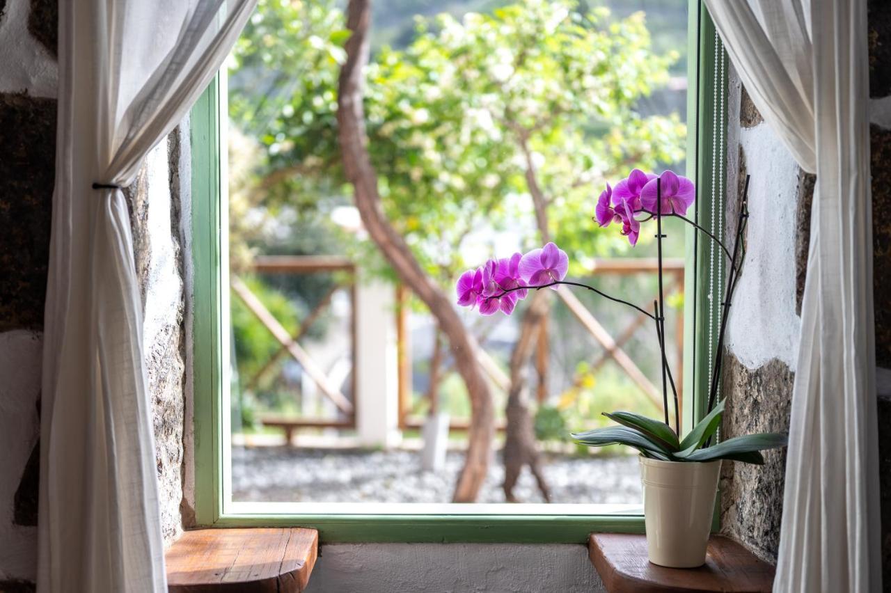 Casa Rural Bejeque Teror Εξωτερικό φωτογραφία